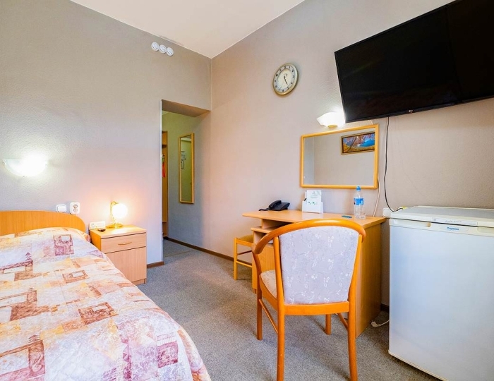 Стандарт 1-местный - Санаторий «Катунь» Белокуриха