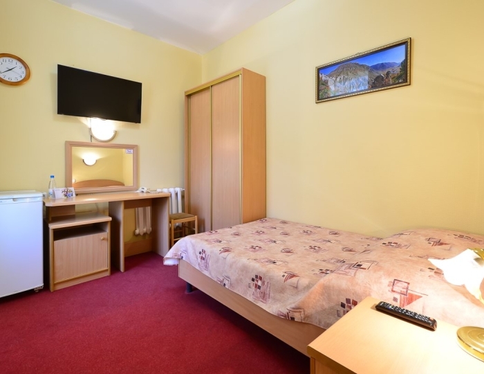 Стандарт 1-местный - Санаторий «Катунь» Белокуриха