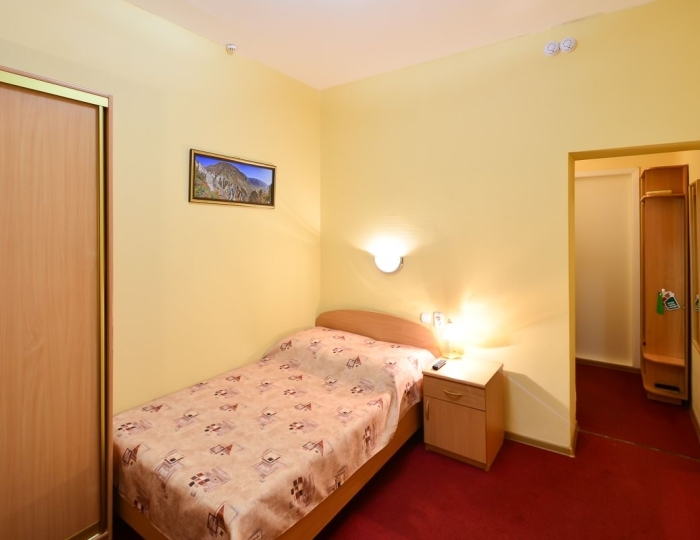 Стандарт 1-местный - Санаторий «Катунь» Белокуриха