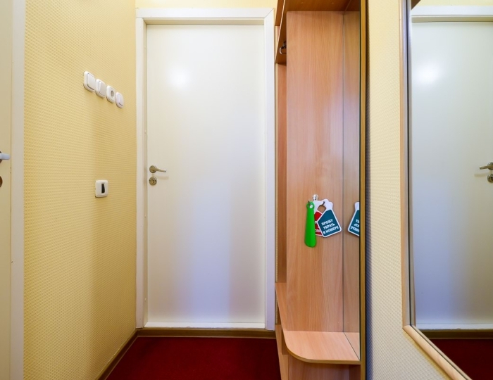 Стандарт 1-местный - Санаторий «Катунь» Белокуриха