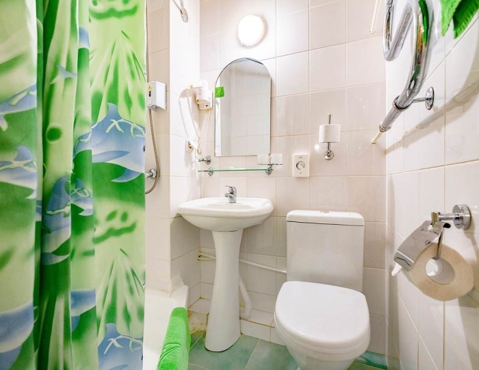 Стандарт 1-местный - Санаторий «Катунь» Белокуриха