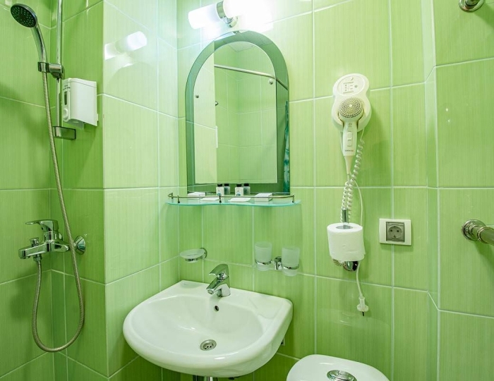 Стандарт 2-местный - Санаторий «Катунь» Белокуриха